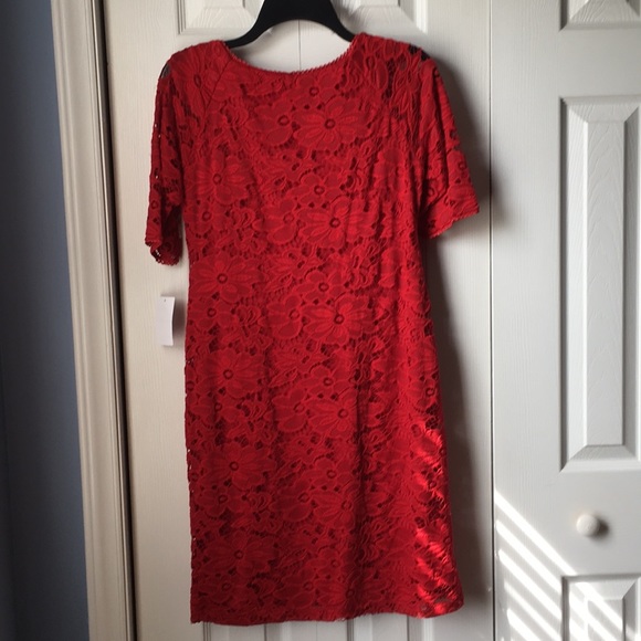 Chris McLaughlin Lace Dress - Picture 2 of 5